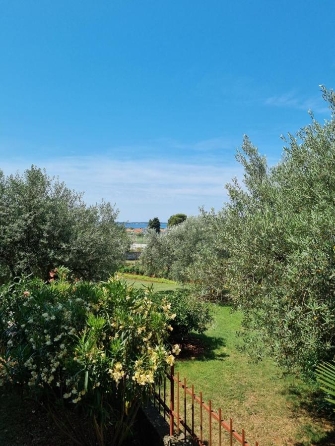 Apartments Jelena Peroj Εξωτερικό φωτογραφία