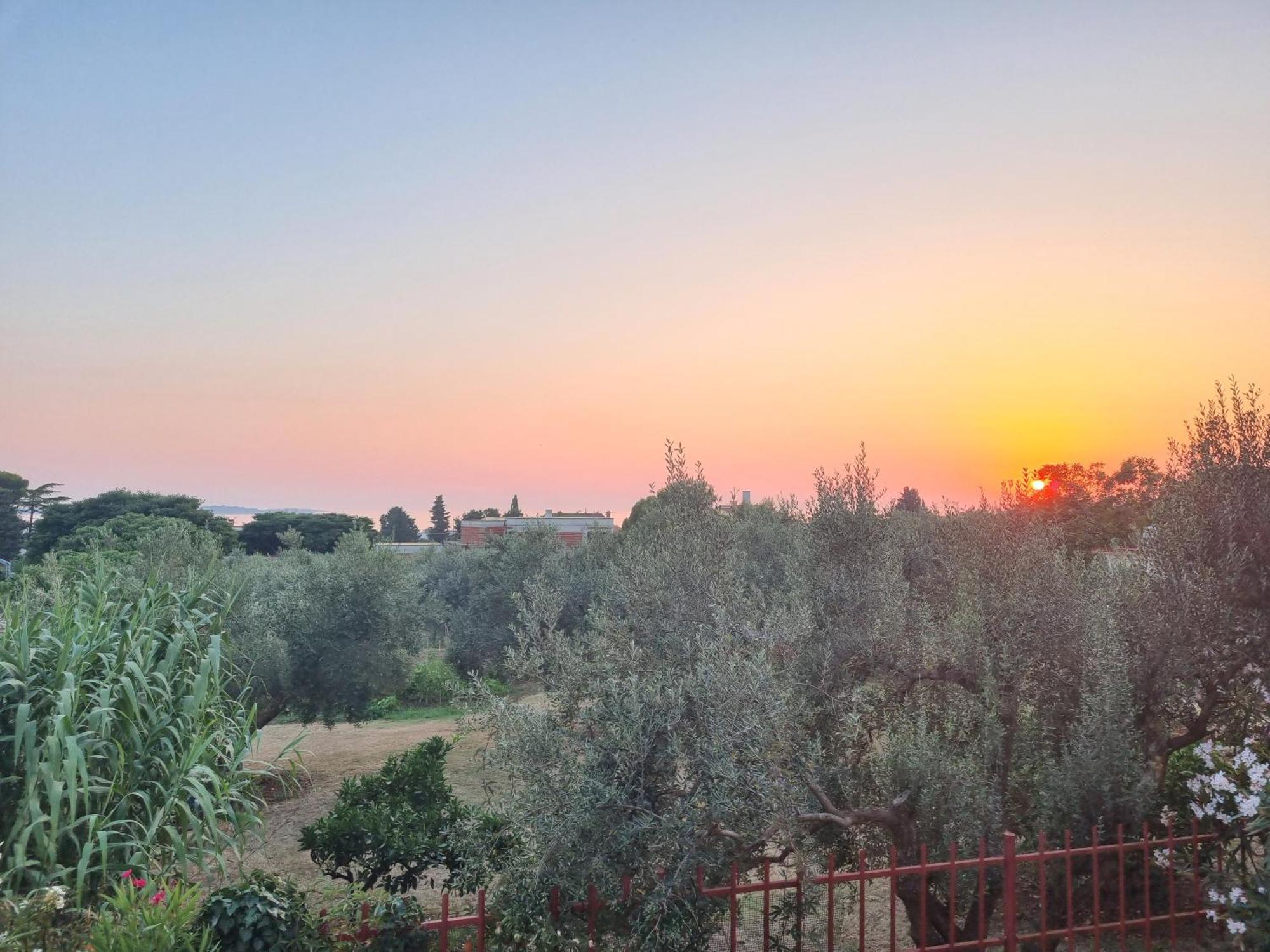 Apartments Jelena Peroj Εξωτερικό φωτογραφία